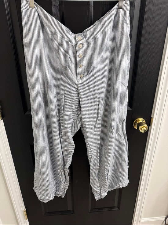 Universal Thread Pants - Universal Thread Blue and White Striped Cropped Button-Front Pants